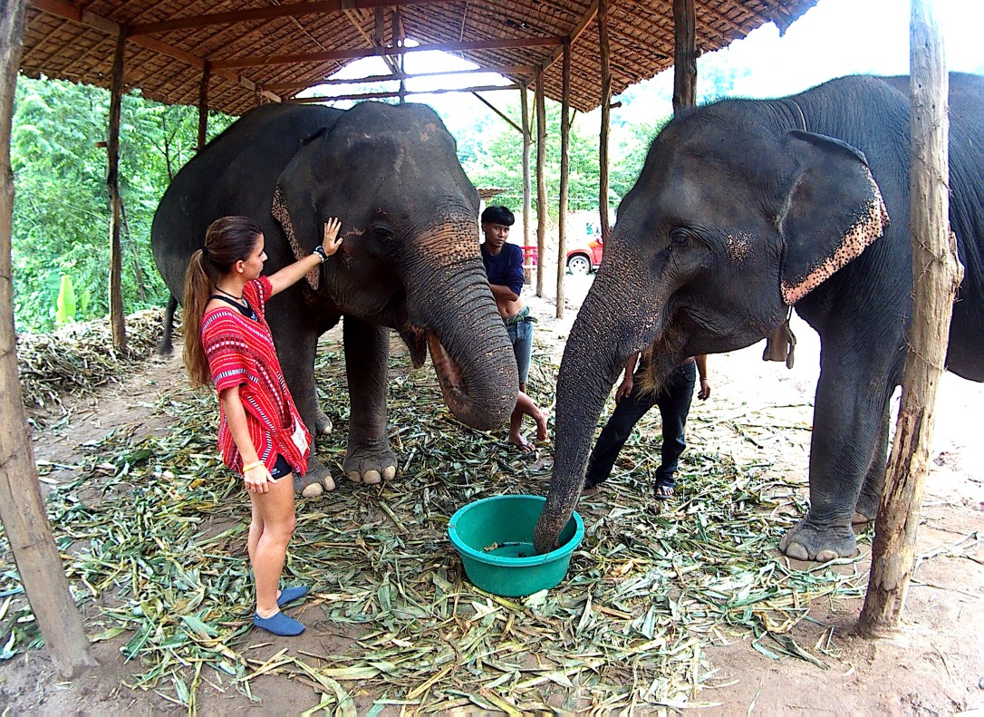 This photo is taken by AllWinner's v3-sdv