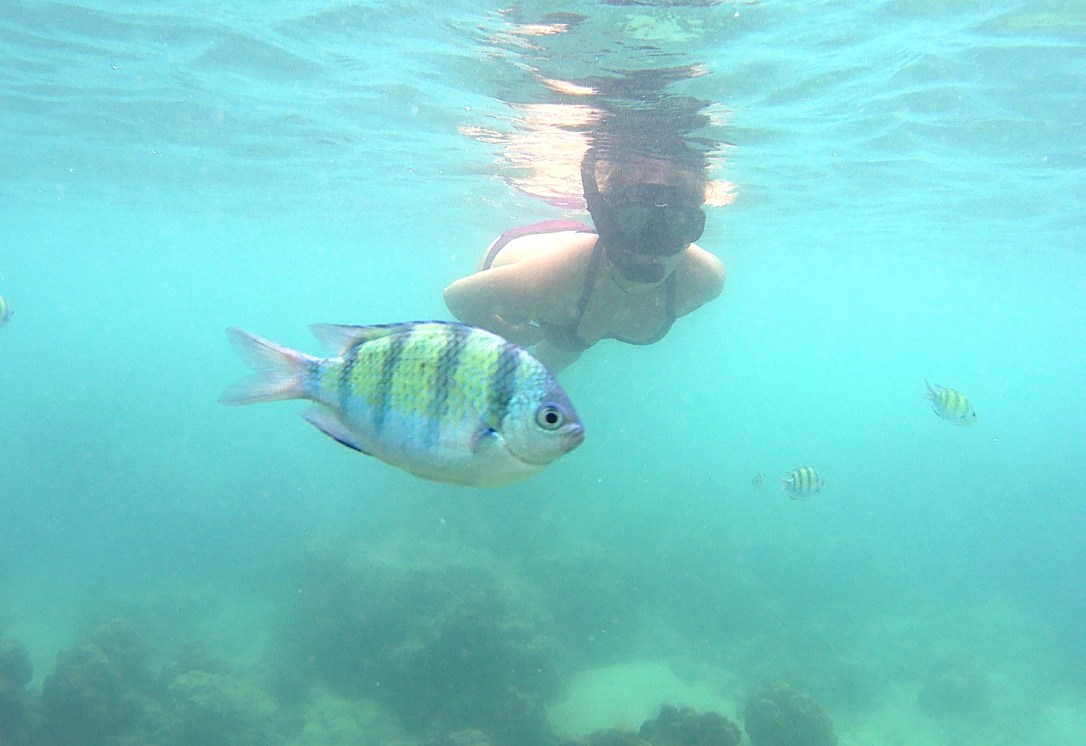 Koh-Phi-Phi-Tailandia-asia