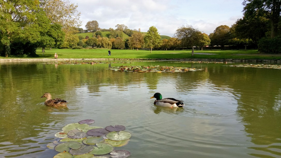 Glastonbury-England-Travel