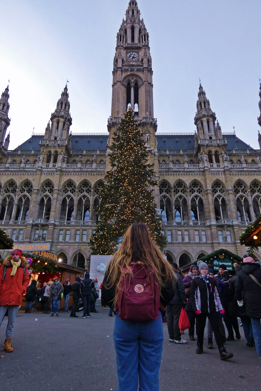 austria-vienna-travel-viajar-ayuntamiento