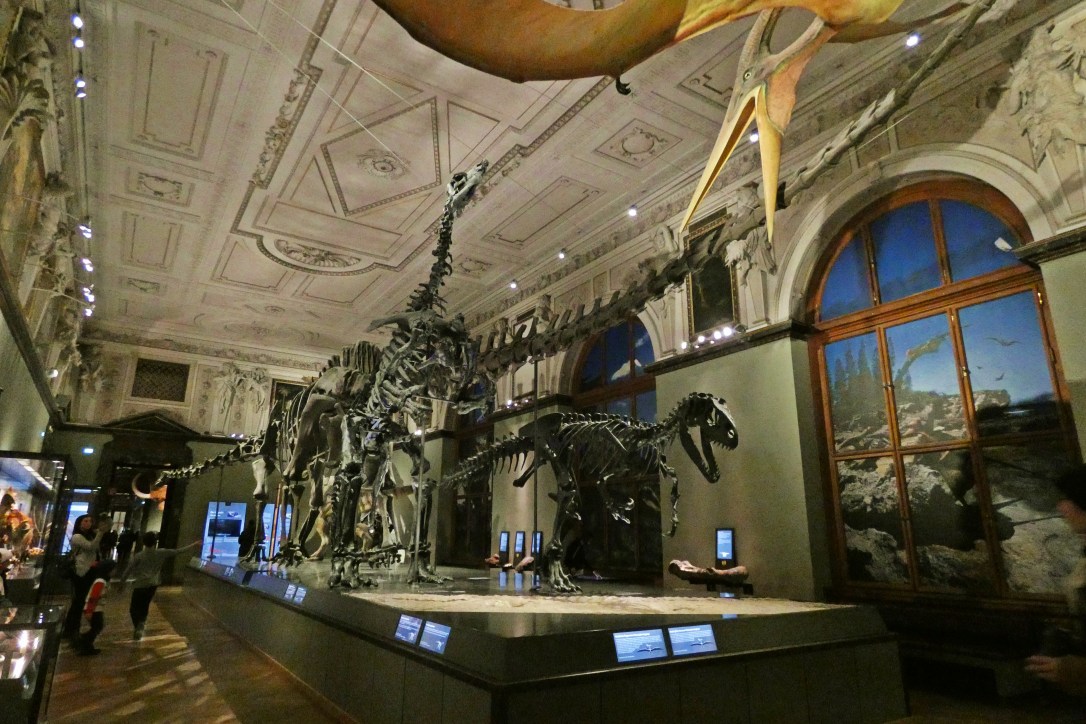 austria-vienna-travel-viajar-museo-historia-natural
